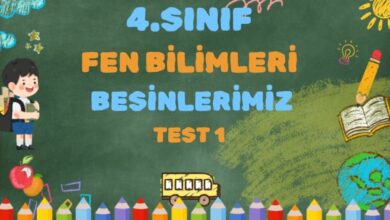 4. Sınıf-FEN BİLİMLERİ-Besinlerimiz Test 1 4 4. Sınıf-FEN BİLİMLERİ-Besinlerimiz Test 1