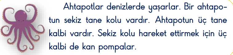 1.Sınıf 31.Hafta Kazanım Tekrar Testi-1