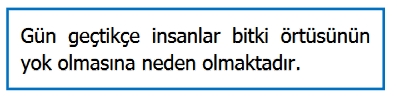 3.SINIF 34.HAFTA KAZANIM TEKRAR TESTİ 1