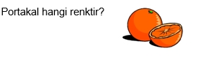 2.SINIF SENE SONU DENEME SINAVI TEST 1