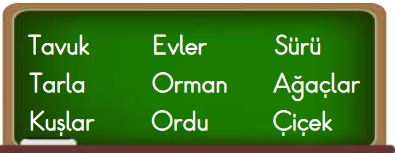 3.SINIF SENE SONU GENEL DENEME SINAVI 6