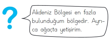 3.SINIF SENE SONU GENEL DENEME SINAVI 7
