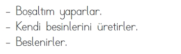 3.SINIF SENE SONU GENEL DENEME SINAVI 7