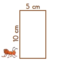 2.SINIF SENE SONU DENEME SINAVI TEST 4