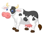 1.SINIF SENE SONU GENEL DENEME TEST 7