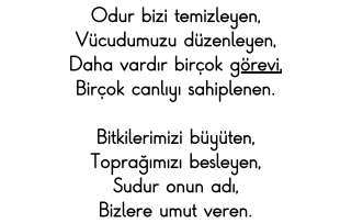 4.SINIF SENE SONU DENEME SINAVI 5