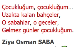 3.SINIF SENE SONU GENEL DENEME SINAVI 6