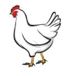 1.SINIF SENE SONU GENEL DENEME TEST 7