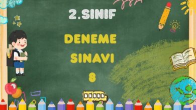 2.SINIF GENELE DENEME SINAVI-8