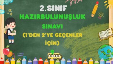 2.SINIF SENE BAŞI HAZIRBULUNUŞLUK SINAVI-9