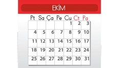 2.SINIF SENE BAŞI HAZIRBULUNUŞLUK SINAVI-9