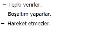3.SINIF SENE BAŞI HAZIRBULUNUŞLUK SINAVI 12