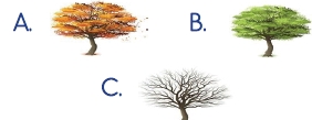 2.SINIF SENE BAŞI HAZIRBULUNUŞLUK SINAVI-9