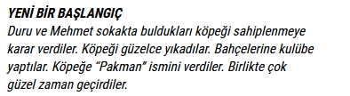 4.SINIF SENE BAŞI HAZIRBULUNUŞLUK SINAVI-8