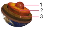4.SINIF SENE BAŞI HAZIRBULUNUŞLUK SINAVI 9