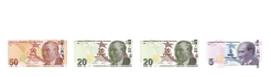 4.SINIF SENE BAŞI HAZIRBULUNUŞLUK SINAVI-8