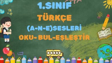 1.SINIF TÜRKÇE (A-N-E ) SESLERİ TEKRAR ÇALIŞMASI
