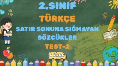 2.SINIF TÜRKÇE SATIR SONUNA SIĞMAYAN SÖZCÜKLER TEST 2
