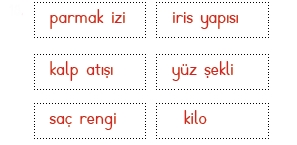 4.SINIF 5.HAFTA SÜREÇ ODAKLI DEĞERLENDİRME TEST 1