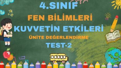 4.SINIF FEN BİLİMLERİ KUVVETİN ETKİLERİ ÜNİTE DEĞERLENDİRME