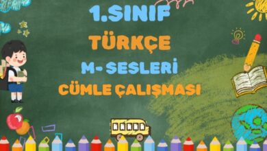 1.SINIF M SESİ CÜMLE TEKRAR ÇALIŞMASI