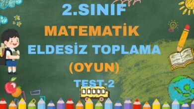 2.SINIF MATEMATİK ELDESİZ TOPLAMA TEST 2