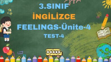 3.SINIF İNGİLİZCE 4.ÜNİTE Feelings TEST 4