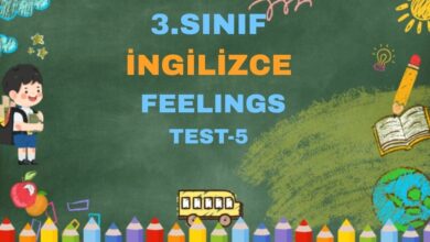 3.SINIF İNGİLİZCE ÜNİTE 4 - FEELINGS TEST 5