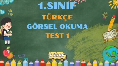 1.SINIF TÜRKÇE GÖRSEL OKUMA