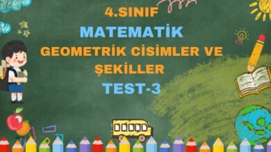 4.SINIF MATEMATİK GEOMETRİK CİSİMLER VE ŞEKİLLER TEST 3