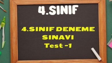 4.SINIF DENEME SINAVI TEST 1