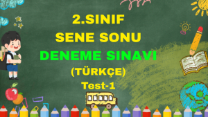 Sanal Test