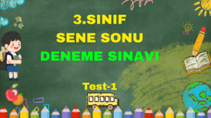 Sanal Test