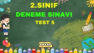 Sanal Test