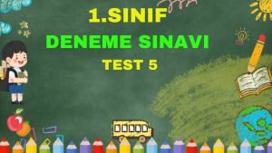 Sanal Test