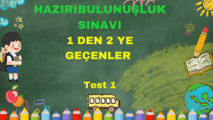 Sanal Test