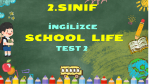 Sanal Test