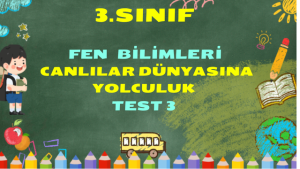 Sanal Test