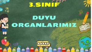 Sanal Test