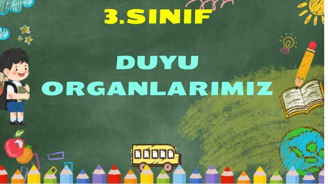 3.Sınıf Fen Bilimleri Duyu Organları TEST-1