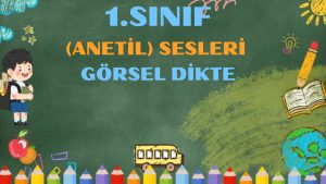 Sanal Test